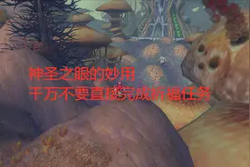 魔兽世界怀旧服神圣之眼的妙用，千万不要直接完成祈福任务视频封面