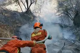 现场！四川甘孜九龙县发生森林火灾，火场地处悬崖绝壁：正在扑救视频封面