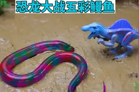 儿童玩具动画：恐龙呼唤同伴合体成为大金鱼，然后把鳗鱼当做美食视频封面