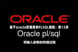 基于oracle数据库的PLSQL编程：第12讲带输入参数的存储过程视频封面