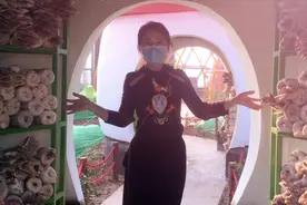 你知道蘑菇是怎么长出来的吗？视频封面