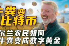 爱尔兰农民如何将牛粪变成数字黄金比特币 三农纪录片视频封面