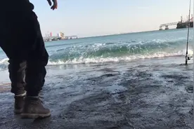 深圳大叔来到海边钓鱼，一个大浪把手机都冲走了，代价真大视频封面