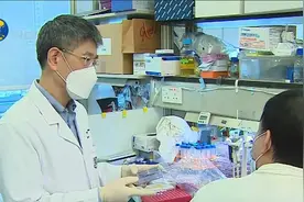香港曝全球首例仓鼠感染新冠，动物会传人吗？专家解读视频封面
