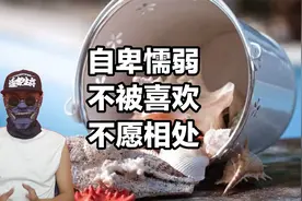 自卑懦弱不被喜欢，明白你的老实，而不愿相处