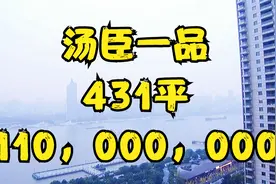 1.1亿买汤臣一品，传承之所，身份的象征，视野开阔，俯瞰黄浦江视频封面