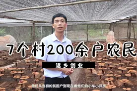 广元打工仔带领7个村农民致富，当上全国劳模，人均增收4260元视频封面