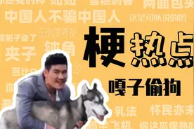 嘎子偷狗是什么梗？视频封面