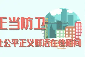 MG动画_正当防卫：让公平正义鲜活在巷陌间视频封面