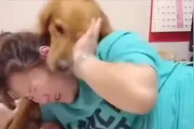 主人沉迷玩手机不理狗狗，狗狗的反应太搞笑，弄得主人哭笑不得视频封面