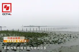 湖北鄂州：百湖之城 鱼米之乡视频封面