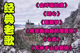 《会呼吸的痛》《断肠梦》《我是真的真的很爱你》《心恋》