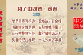 和子由四首·送春 宋代 苏轼 表达对春的感伤对宦海沉浮心灰意懒视频封面