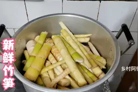 新鲜竹笋挖回来后怎样处理？没想到加工过程还要这样做！看看吧视频封面