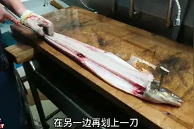 号称刀工“最快”的男人，杀鳗鱼时被鳗鱼反咬了一口，瞬间变脸了视频封面
