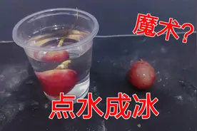 据说把冷冻的葡萄放进过冷水里面，能让水瞬间结冰，真的假的？