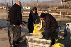 小媳妇承包鱼塘搞养殖，顾客要买50斤大鲟鱼，一斤多少钱？
