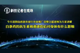 白条鸡的激素和抗生素对身体有哪些影响