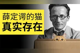 小学生都能看懂的薛定谔的猫！原来既生又死的猫在微观真实存在视频封面