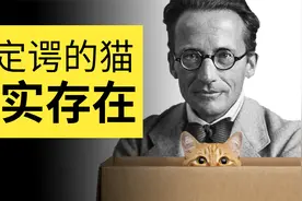 小学生都能看懂的薛定谔的猫！原来既生又死的猫在微观真实存在视频封面