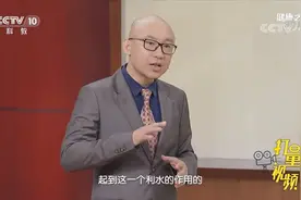 小小冬瓜好处多，不同部位有不同功效，听听专家的讲解|健康之路视频封面