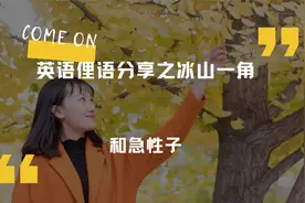 英语俚语分享之冰山一角和急性子视频封面