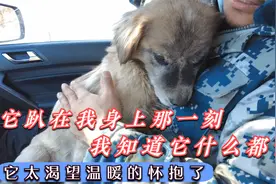当它趴我身上那一刻，我知道它什么都懂，它太渴望温暖的怀抱了视频封面