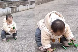 宝宝手里的火腿肠掉在地上，神操作笑翻众人，网友：不要打扰他！视频封面
