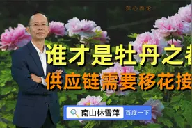 菏泽打响“牡丹之都”保卫战？先把牡丹花说成工业之花视频封面