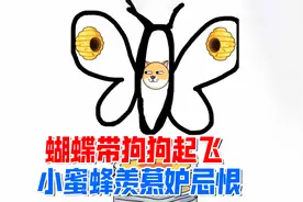 救救狗狗：蝴蝶带狗狗起飞，小蜜蜂羡慕妒忌恨视频封面