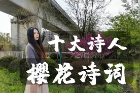 李商隐、李煜、朱元璋十大诗人樱花的诗词，唯美名句，赏春意趣视频封面