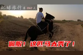 人生中第一次骑马，巴基斯坦这匹马太秀了，绝对马届干饭王！视频封面
