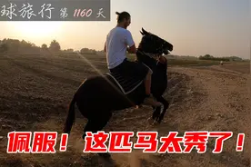 人生中第一次骑马，巴基斯坦这匹马太秀了，绝对马届干饭王！视频封面