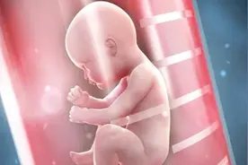普通婴儿和试管婴儿有何差别？智力有区别吗？视频封面