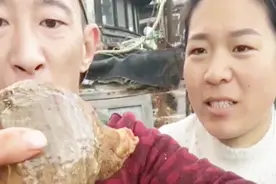 船长就喜欢吃海螺，刚煮熟的捞出来一个就开吃，网友：黄还挺多的