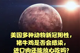 美国多种动物新冠阳性，猪牛鸡是否会感染，进口肉还能放心吃吗？视频封面