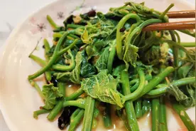 平时只吃它的瓜，可这种瓜的嫰茎叶也是一种美味视频封面