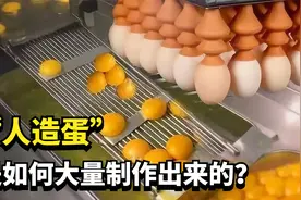 人造鸡蛋真实存在吗？这种鸡蛋如何生产的？看完终于放心了视频封面