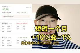 十年基金定投计划第八期：短短一个月，大半年定投盈利化为泡影视频封面