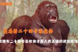 人们莫名的缺失，拥有二十四号染色体才是正确？人类或不属于地球视频封面