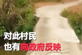 打过多次报告未果！父子骑车过危桥狗狗突然跳河，结果悲剧发生了视频封面