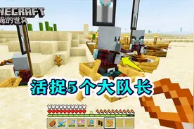 我的世界251：活捉大队长！集齐5个，就可以召唤5级劫掠吗？视频封面