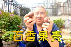 家里吃剩的百香果外壳、桔子皮不要扔！简单方法变废为宝制成肥土视频封面