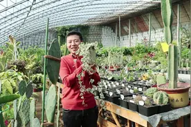 养不好吊兰养“雪莹”，比吊兰好养，比吊兰漂亮，零下都冻不死它视频封面