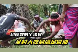 印尼农村杀猪，50公斤大野猪全村一起吃，2个小时就被吃光视频封面