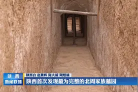陕西首次发现最为完整的北周家族墓园视频封面
