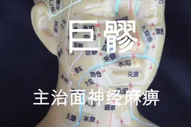巨髎：主治面神经麻痹 功能及主治：口眼斜,眼睑动，鼻出血等。视频封面