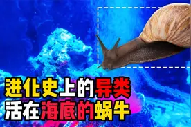 大自然的鬼斧神工，造就活在海底的蜗牛？连皮肤都由金属组成视频封面