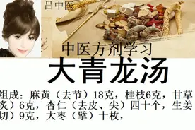中医方剂《大青龙汤》麻黄桂枝杏仁甘草生石膏生姜大枣新冠治疗视频封面