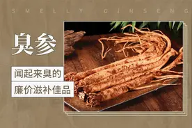 臭参——闻起来臭的廉价滋补佳品